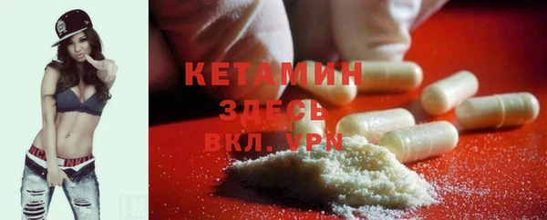 стаф Алзамай