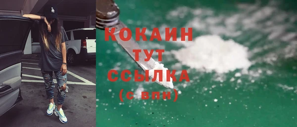 стаф Алзамай