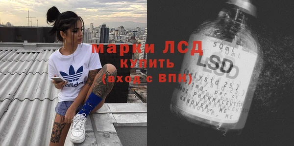 стаф Алзамай