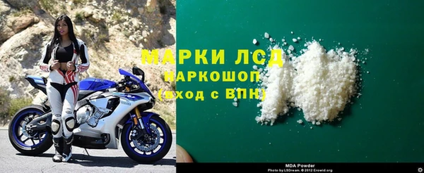 стаф Алзамай
