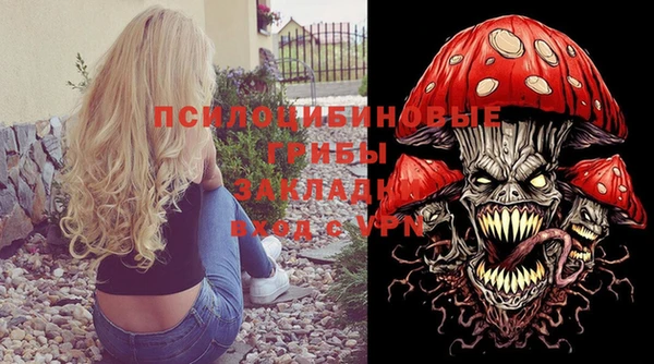 стаф Алзамай