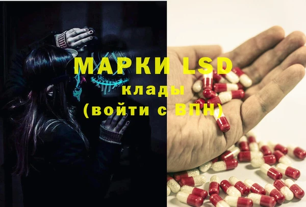 стаф Алзамай